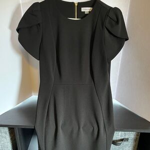 Calvin Klein Black Career Wear Dress